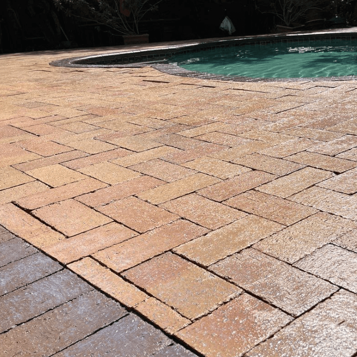 What Type of Pavers Do You Have? Paver Seal Tampa