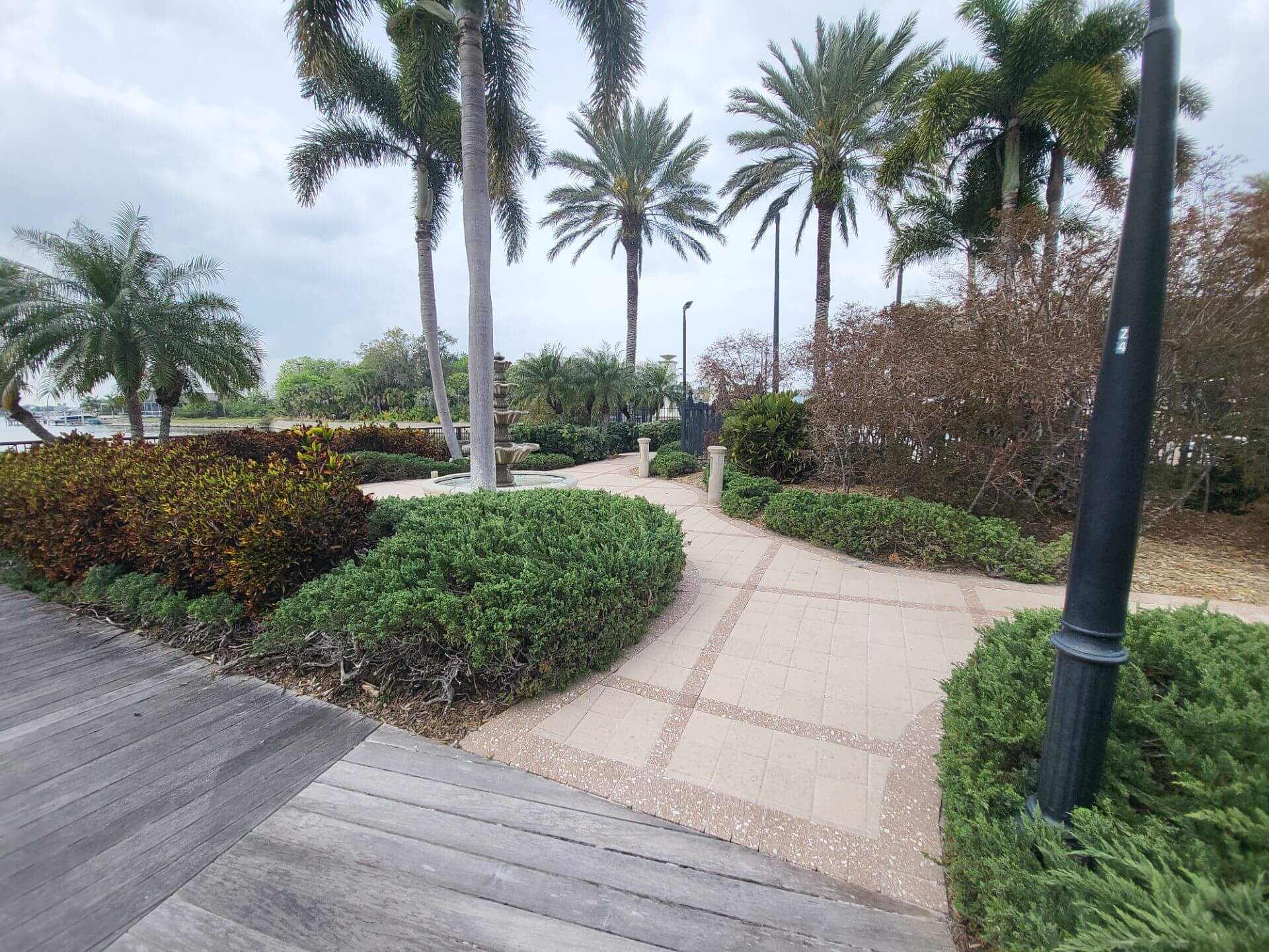 paver walkways with hedges and palm trees